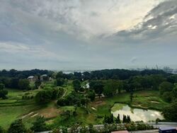Skyline Residences (D4), Condominium #570637401